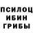 Псилоцибиновые грибы GOLDEN TEACHER FLASH 150