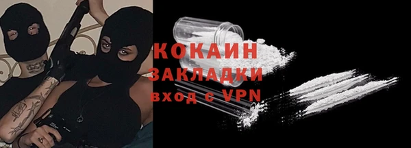 Альфа ПВП Верея