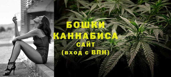 мдпв Волоколамск