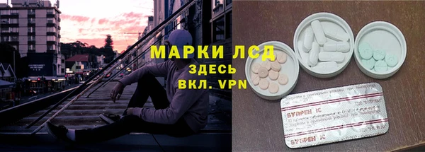 Альфа ПВП Верея